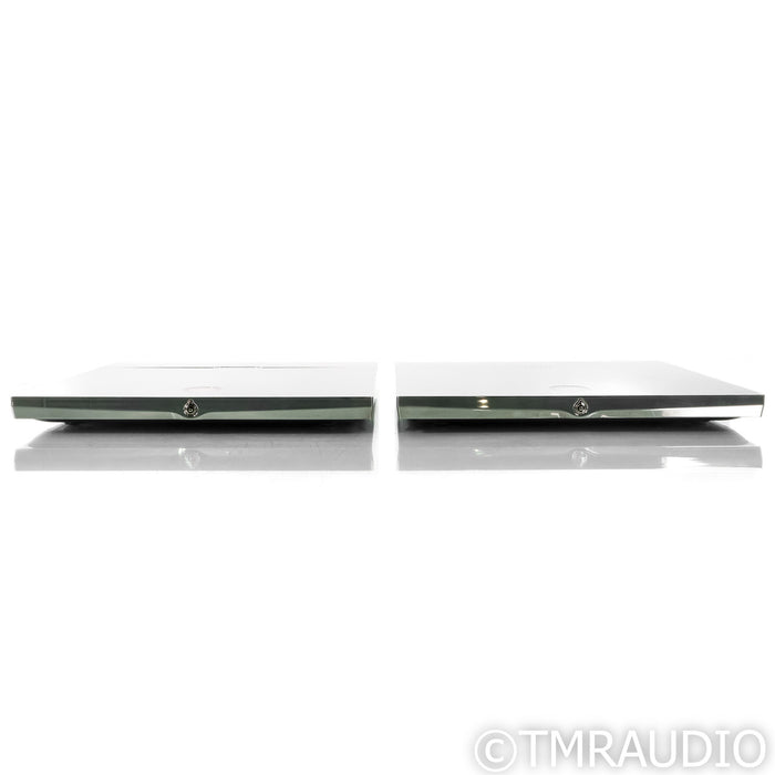 Devialet Expert 400 Mono Power Amplifiers; Pair (Used)