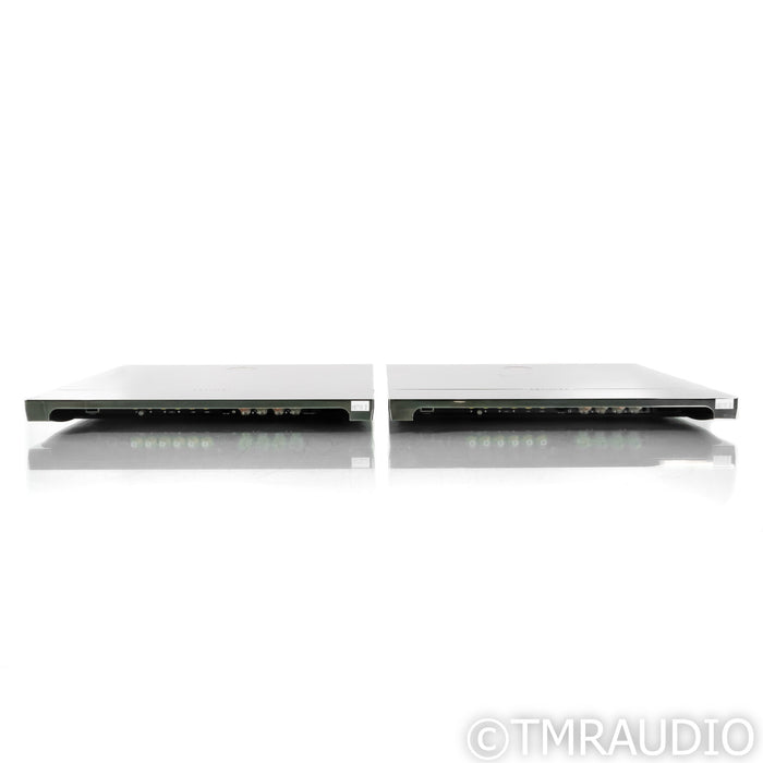 Devialet Expert 400 Mono Power Amplifiers; Pair (Used)