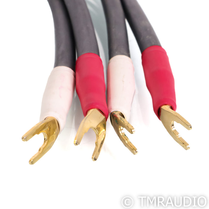 Shunyata Research Alpha v1 Speaker Cables; 2m Pair