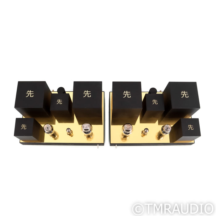 Destination Audio Type 45 Tube Monoblock Power Amplifiers; Pair