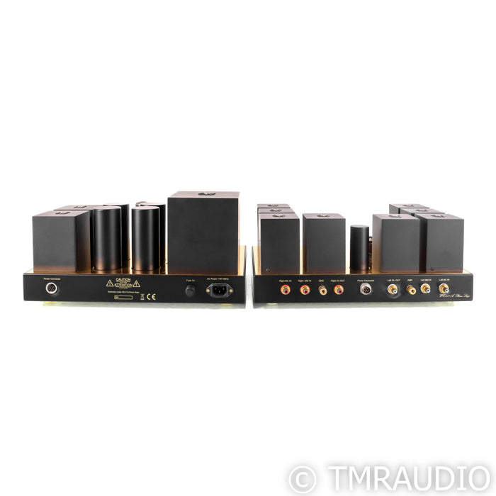 Destination Audio WE 417A Tube MM & MC Phono Preamplifier