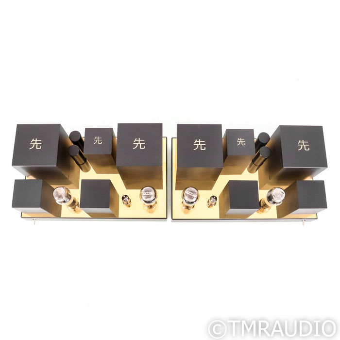 Destination Audio Type 50 Monoblock Power Amplifiers; Pair