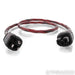 Audience Au24 SE MP powerChord Power Cable; 3ft AC Cord