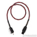 Audience Au24 SE MP powerChord Power Cable; 3ft AC Cord