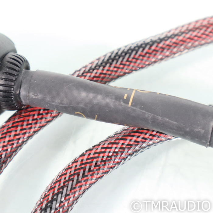 Audience Au24 SE MP powerChord Power Cable; 3ft AC Cord