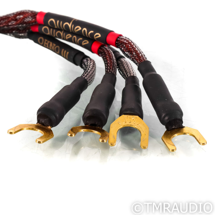 Audience OHNO III Bi-Wire Jumpers; Set of Four