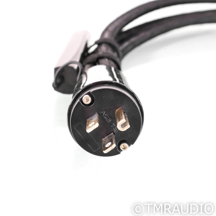 AudioQuest Dragon High Variable Current Power Cable; 1m AC Cord; 72v DBS