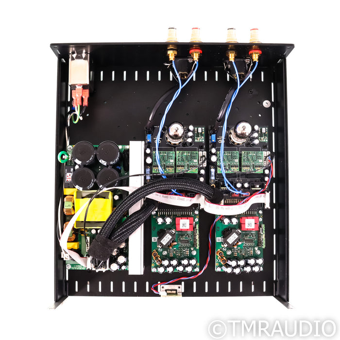VTV Purifi Audio 1ET400A Stereo Power Amplifier; with Tube Buffer