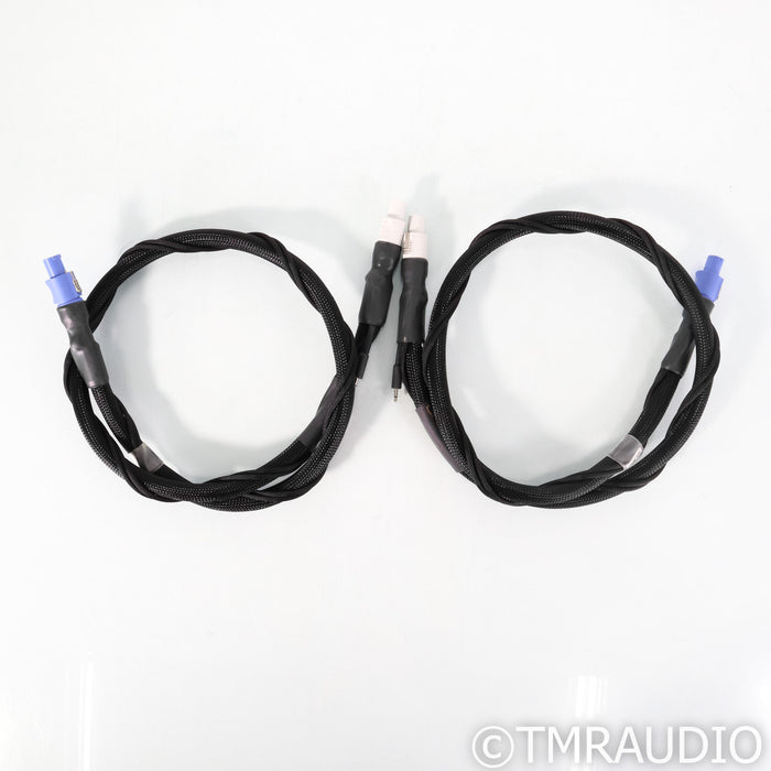 Synergistic Research Tesla Powercell 10 UHC AC Power Line Conditioner