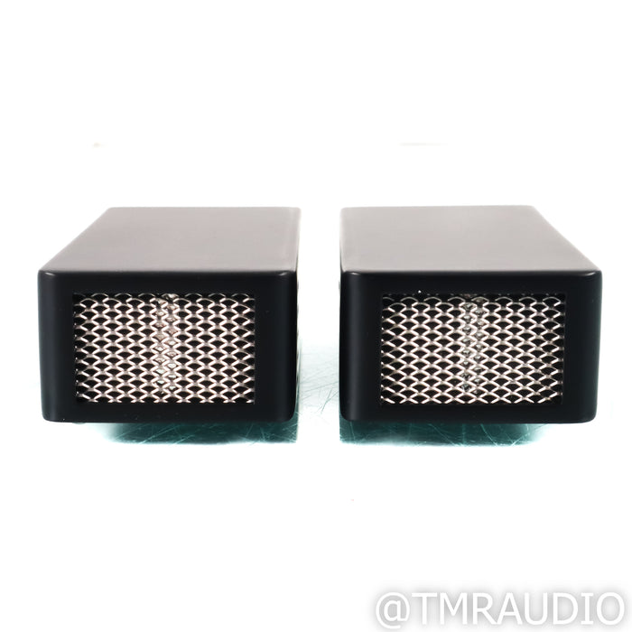Townshend Maximum Super Tweeters; Satin Black Pair