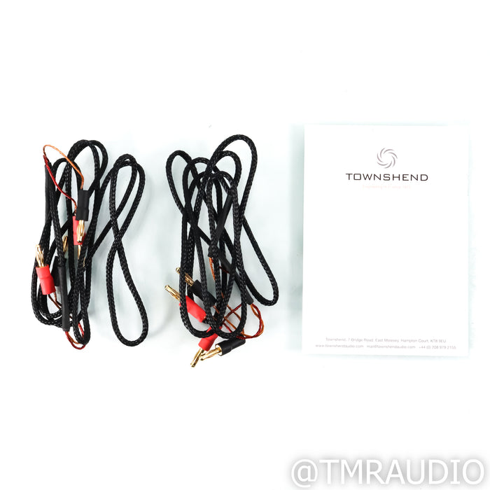 Townshend Maximum Super Tweeters; Satin Black Pair