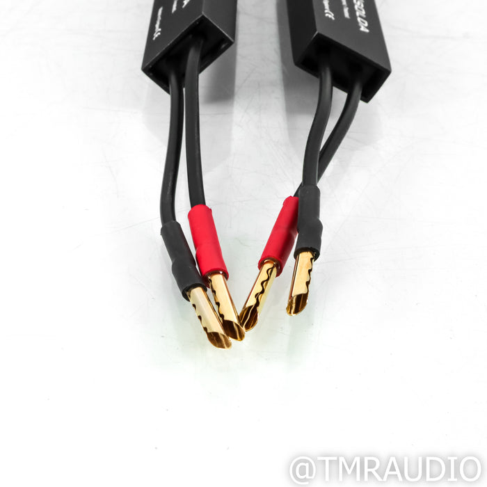 Townshend Isolda Speaker Cables; 22ft Pair