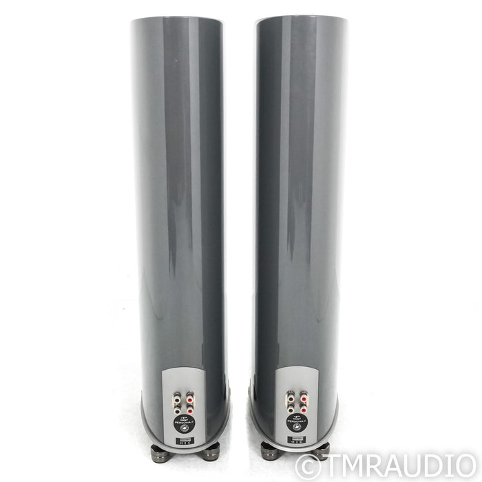 Paradigm Persona 3F Floorstanding Speakers; Silver Pair w/ Gaia II Feer