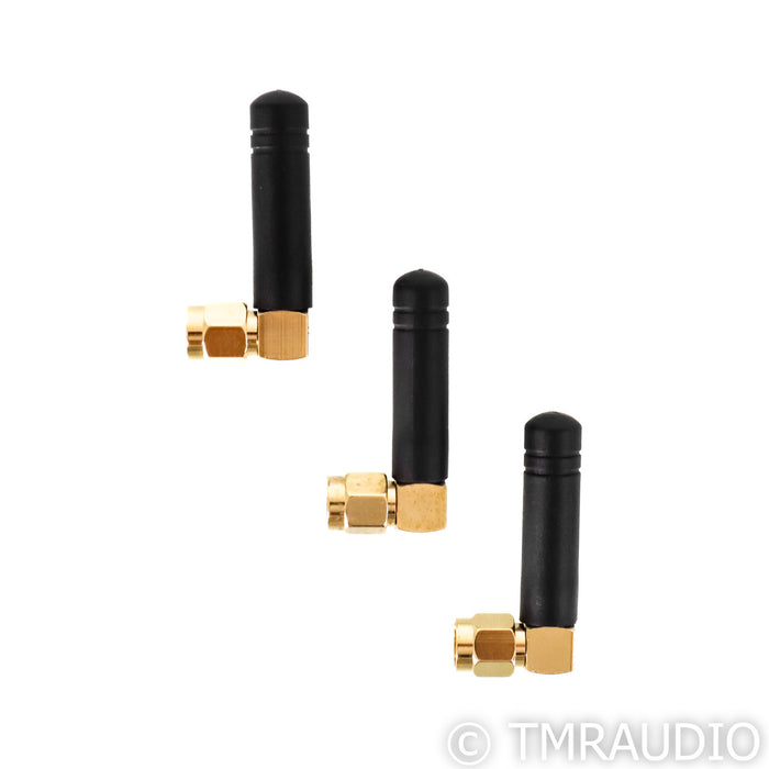 Eversolo Audio DMP-A6 Music Streamer