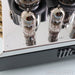 McIntosh MC275 MKVI Stereo Tube Power Amplifier
