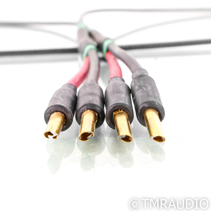Audience Au24 SE Speaker Cable; 2m Single