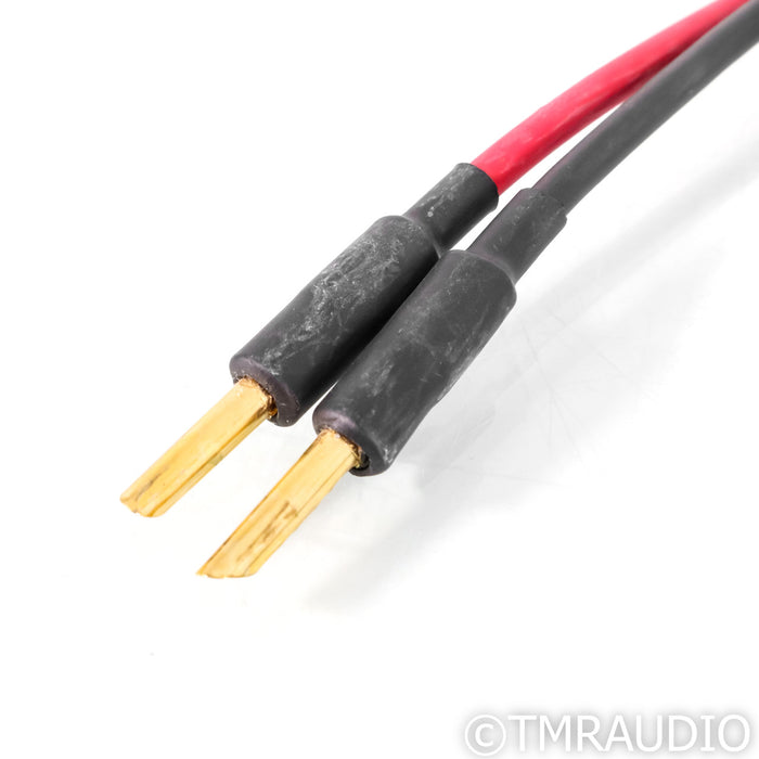 Audience Au24 SE Speaker Cable; 2m Single