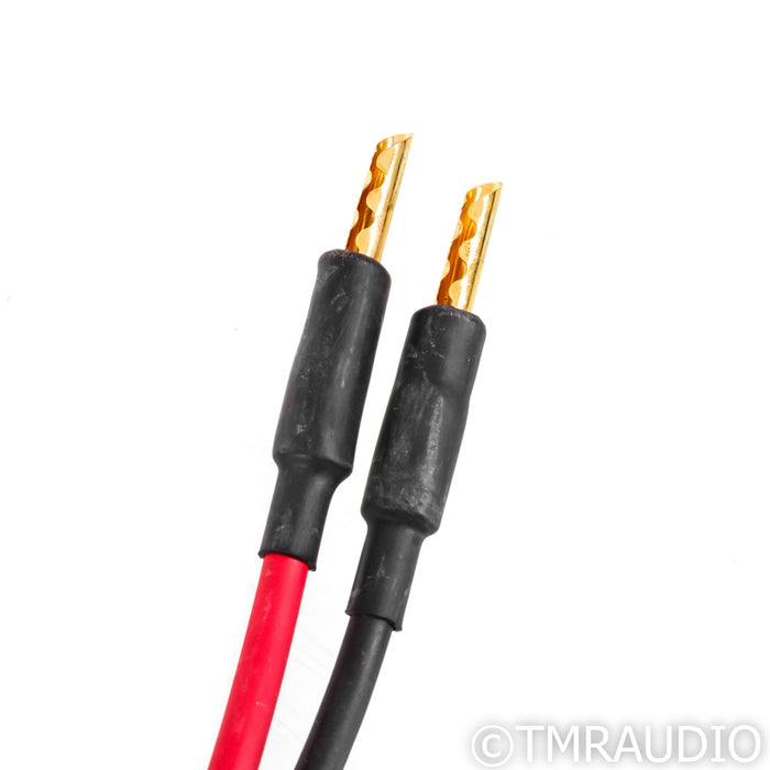 Audience Au24 SE Speaker Cable; 2m Single
