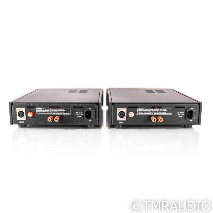 Atma-Sphere Class D Monoblock Power Amplifiers; Pair