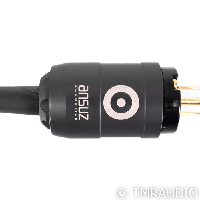 Ansuz Mainz A Power Cable; 2m AC Cord