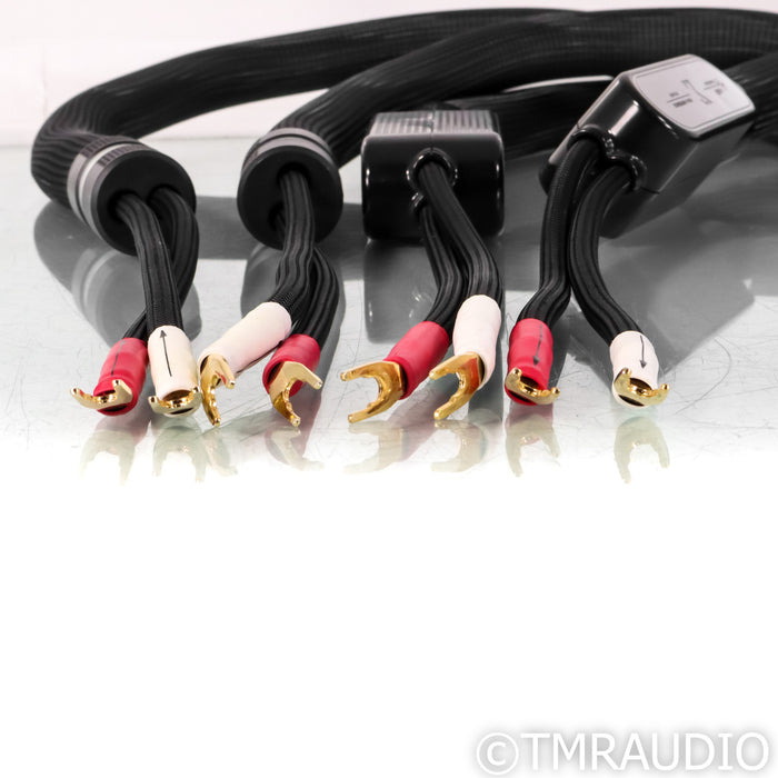 Shunyata Research Sigma V1 Speaker Cables; 11.5ft Pair