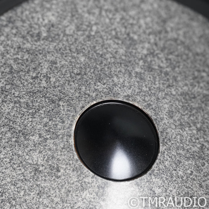 Focal Electra 1038 Be Floorstanding Speakers; Champagne Pair