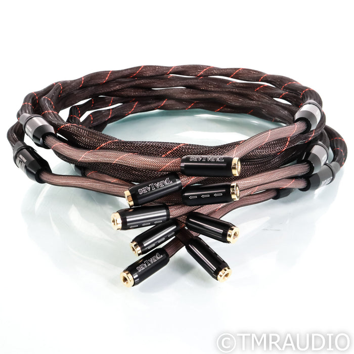 Tara Labs RSC Air Evolution Speaker Cables; 8ft Pair