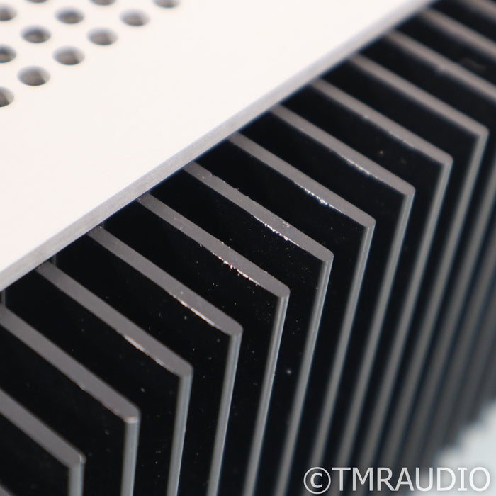 Schiit Audio Aegir Stereo Power Amplifier