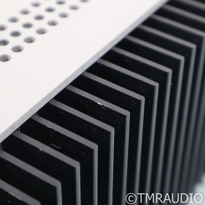 Schiit Audio Aegir Stereo Power Amplifier