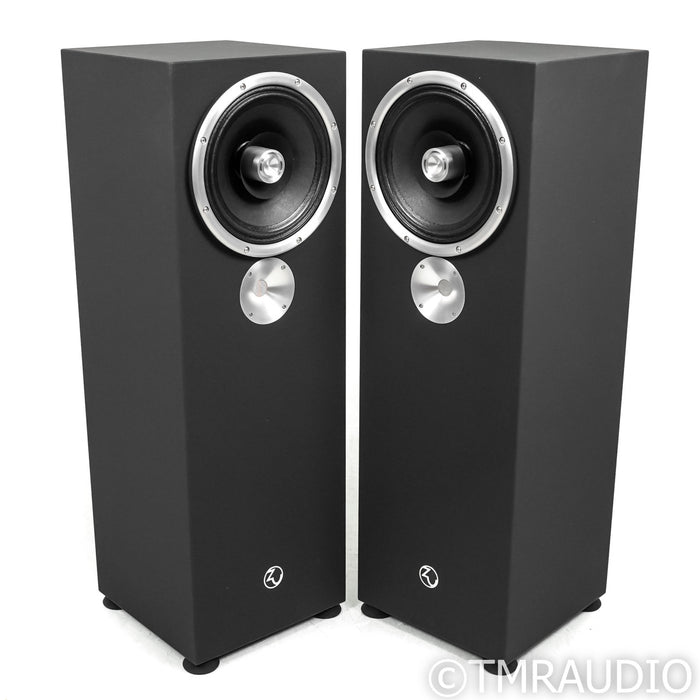 Zu DW 6 Superfly Floorstanding Speakers; Dirty Weekend; Black Starlight Pair
