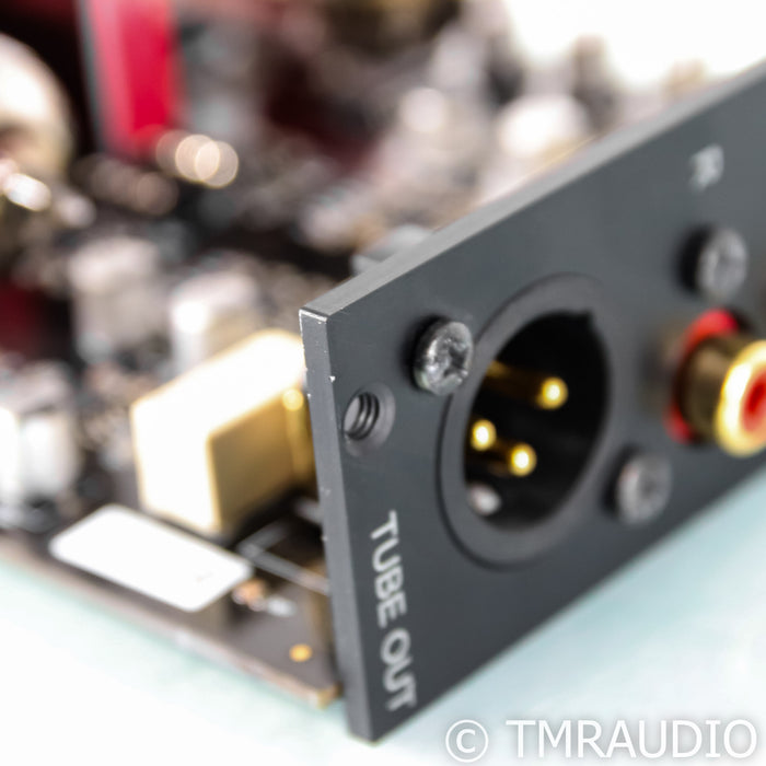 AVM PA 8.2 & 8.3 Tube Preamplifier Output Module (Demo w/ Warranty)