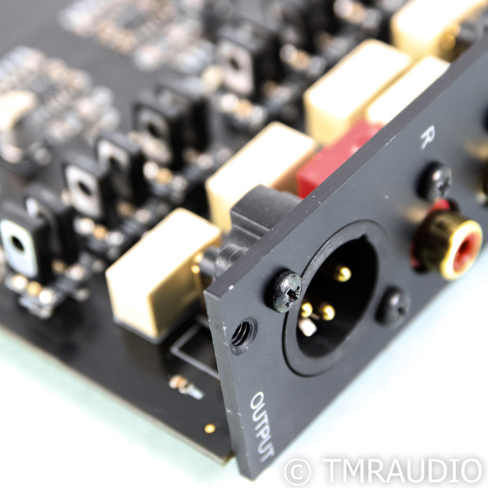 AVM PA 8.2 & 8.3 Solid State Preamplifier Output Module (Demo w/ Warranty)