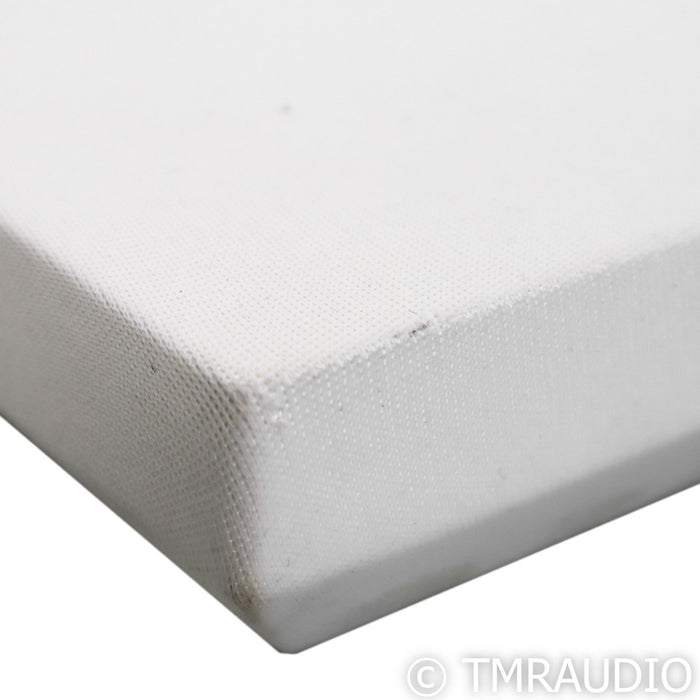 REL Acoustics S/2 10" Powered Subwoofer; Gloss White