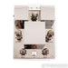 Coincident Speaker Technology Dynamo 34SE MKIII Stereo Tube Integrated Amplifier