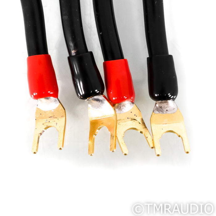 Transparent Audio Brick 10-2 Network; Pair for 41-60ft Cables