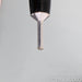 AudioQuest William Tell Zero Speaker Cables; 8ft Pair