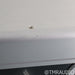 Theta Digital Casablanca IVa Surround Processor