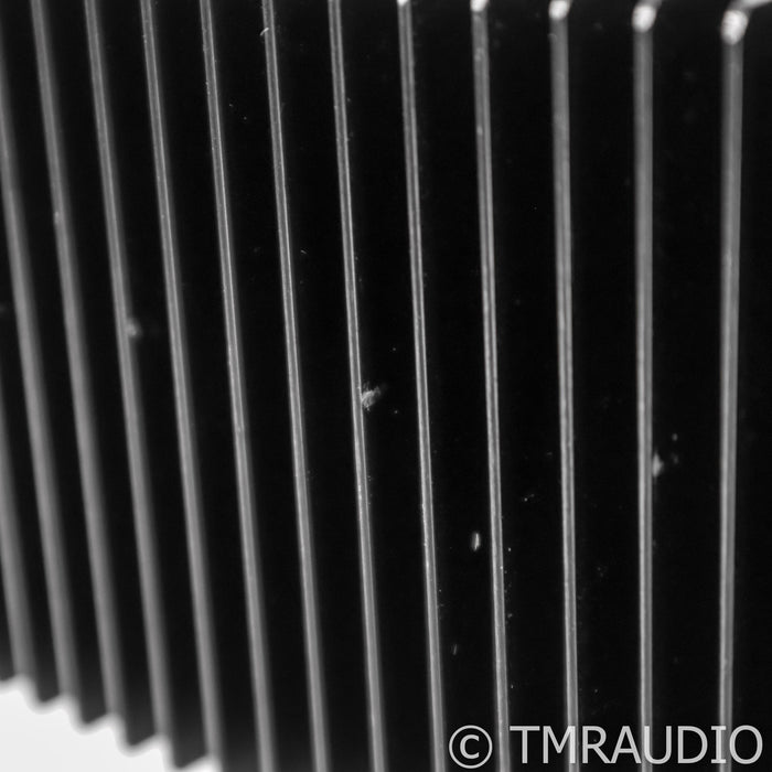 Van Alstine DVA M225 Monoblock Power Amplifiers; Pair