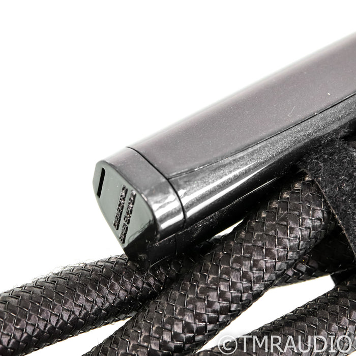 AudioQuest Dragon High Current Power Cable; 1m 20A AC Cord