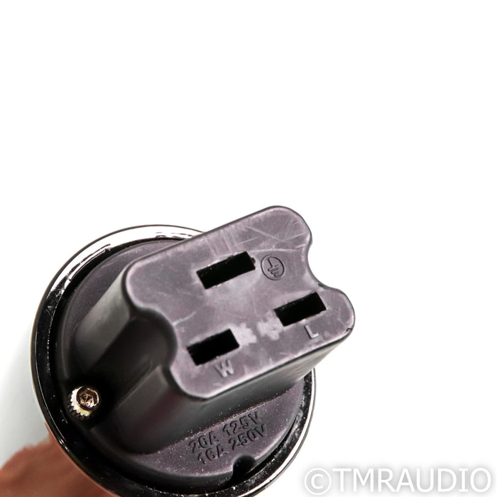 AudioQuest Dragon High Current Power Cable; 1m 20A AC Cord