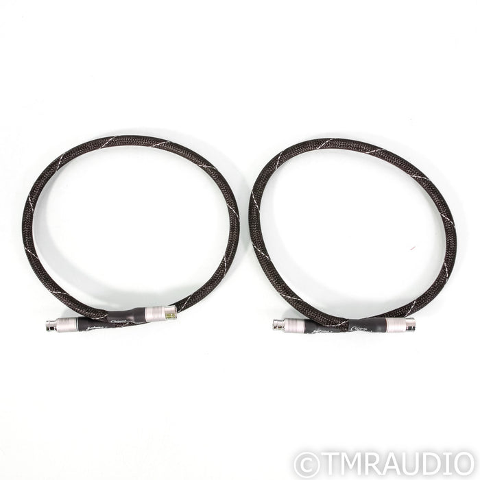 Cerious Technologies Graphene Matrix + Dampening Squared XLR Cables; 1m Pair