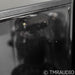 Willsenton R8 Stereo Tube Integrated Amplifier; Upgrades