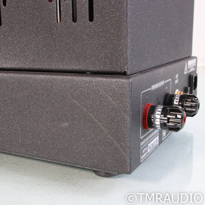 Tsakiridis Devices Orpheus Tube Monoblock Power Amplifiers; Pair