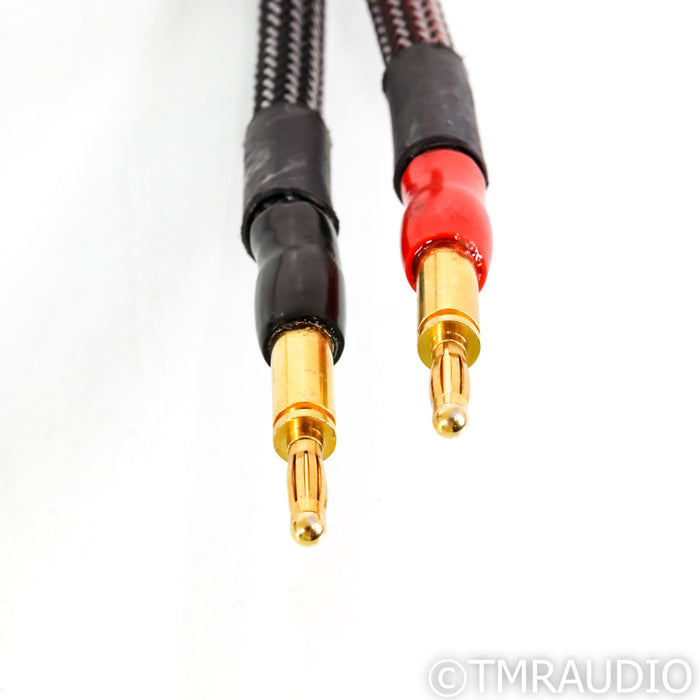 MIT Shotgun MA Speaker Cables; 2.5m Pair