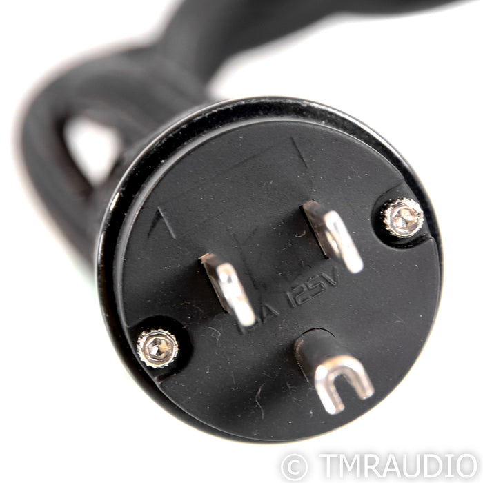 AudioQuest Dragon High Current Power Cable; 1.15m AC Cord, 20A