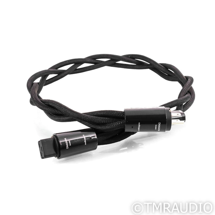 AudioQuest Dragon Source Power Cable; 1m AC Cord, 20A