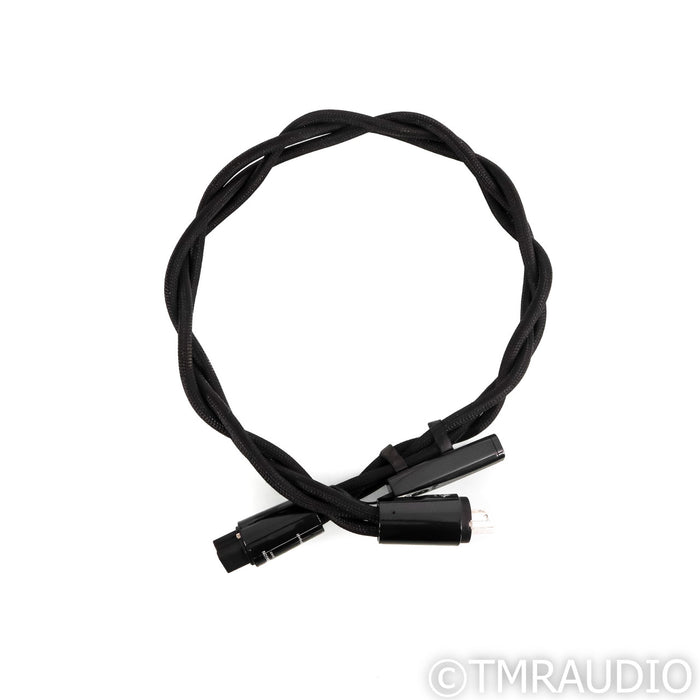 AudioQuest Dragon Source Power Cable; 1m AC Cord, 20A