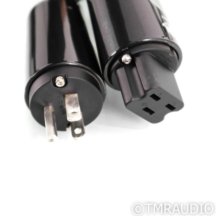 AudioQuest Dragon Source Power Cable; 1m AC Cord, 20A