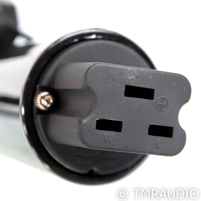 AudioQuest Dragon Source Power Cable; 1m AC Cord, 20A