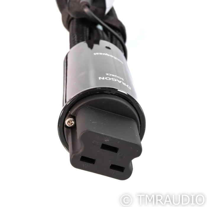 AudioQuest Dragon Source Power Cable; 1m AC Cord, 20A
